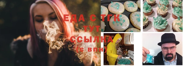 индика Богородицк