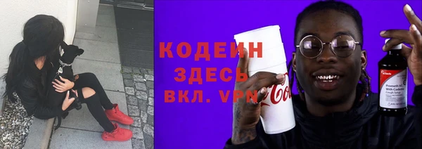 индика Богородицк