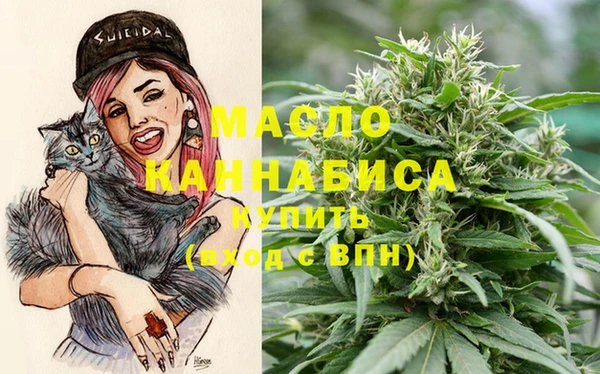индика Богородицк