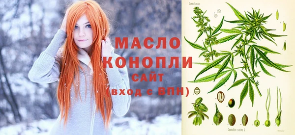 индика Богородицк