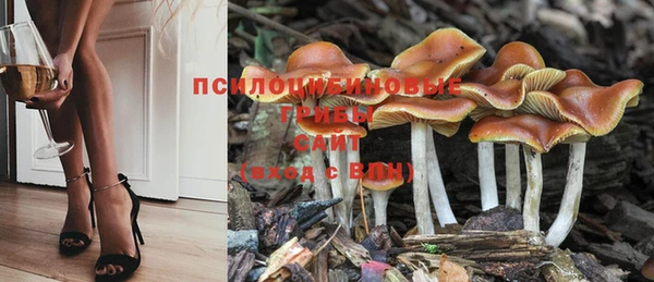 героин Богданович