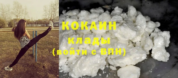стаф Богородск