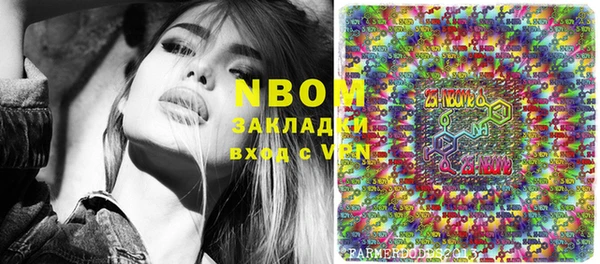 индика Богородицк