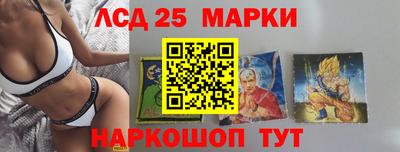 прущие грибы Владикавказ