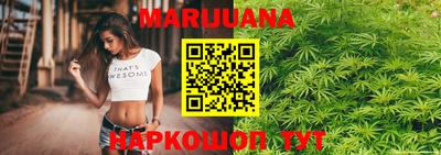 прущие грибы Владикавказ