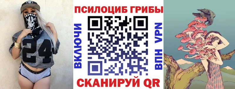 купить наркотики сайты  Маркс  Псилоцибиновые грибы прущие грибы 