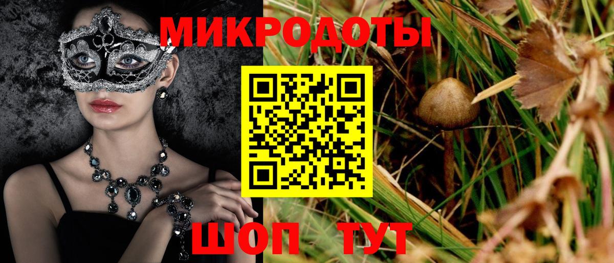 Галлюциногенные грибы Psilocybe Маркс